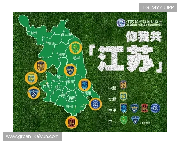 职业联赛采用分级联赛制以增加竞争和商业价值，职业联赛的意义